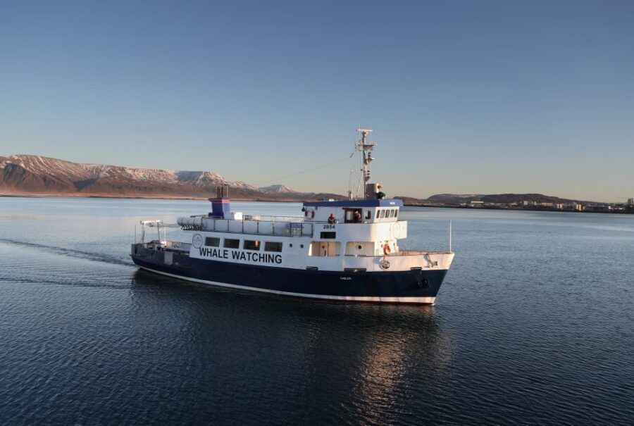 From Reykjavik: New Years Fireworks by Boat - Key things that make this cruise worth your time