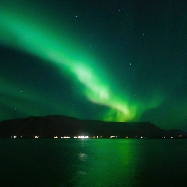 From Reykjavik: Northern Lights Boat Cruise - Camera reality check: why aurora photos are harder than you think
