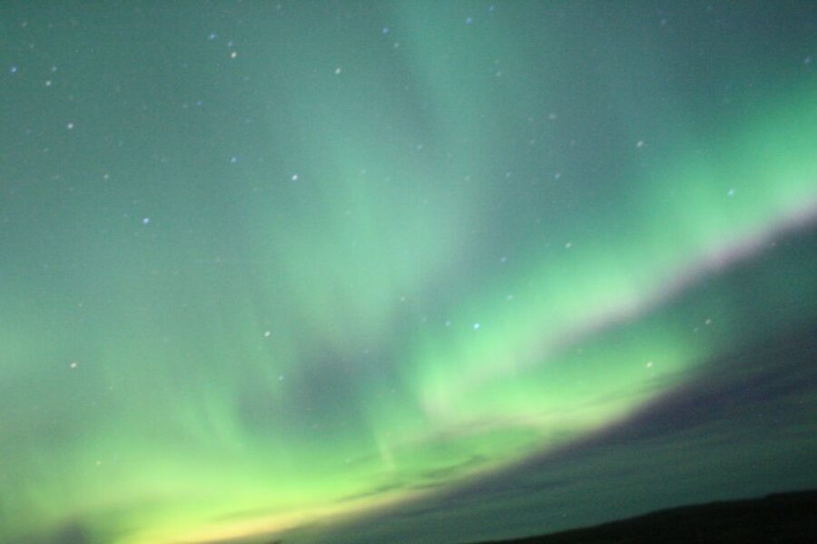 From Reykjavik: Northern Lights Boat Cruise - What if the Northern Lights don’t show? The free return ticket you’ll be glad exists