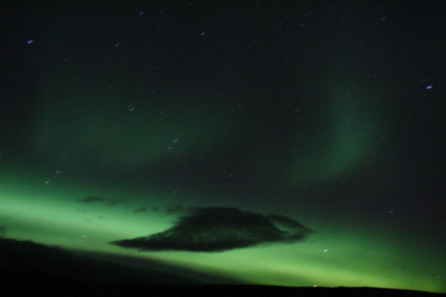 From Reykjavik: Northern Lights Boat Cruise - Price at about $101: what you’re paying for (and what makes it feel worth it)