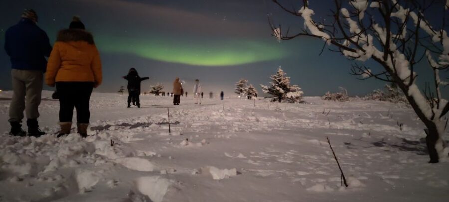 From Reykjavik: Northern Lights Chase with Expert Guide - Turning Reykjavik’s skyline into a dark-sky mission