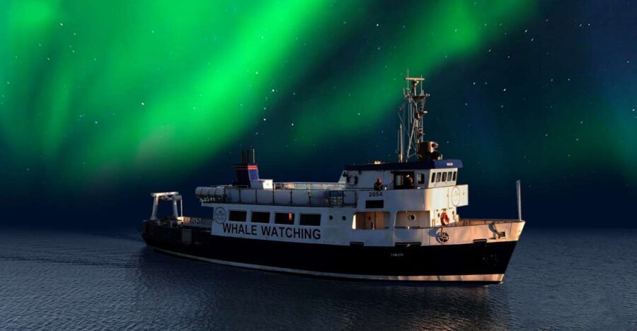 From Reykjavik: Northern Lights Sightseeing Cruise - Northern Lights at Sea: Why This Cruise Feels More Relaxing