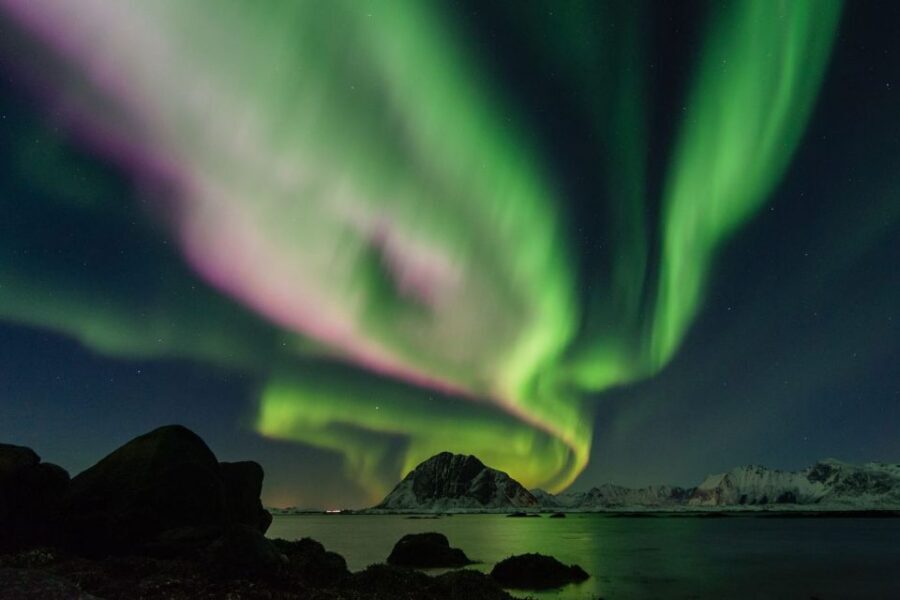 From Reykjavik: Northern Lights Sightseeing Cruise - How the Guide Helps You Spot the Aurora (Even Before It Happens)