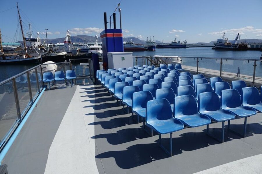 From Reykjavik: Northern Lights Sightseeing Cruise - Price and Value: Is $88 Worth a Chance at Green Light?