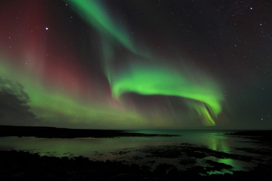 From Reykjavik: Northern Lights Tour - Key Highlights at a Glance