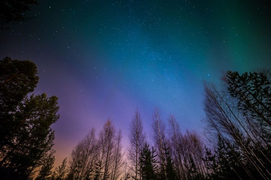 From Reykjavik: Northern Lights Tour - Logistics That Can Affect Your Comfort (and Your Chances)