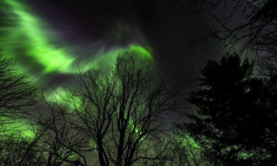 From Reykjavik: Northern Lights Tour with Lifetime Guarantee - Why this Northern Lights bus tour works (even when the sky is moody)