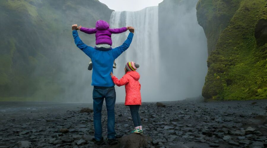 From Reykjavik: Private South Coast Tour in Iceland - Price and Value: What $1,361 Per Group Actually Buys