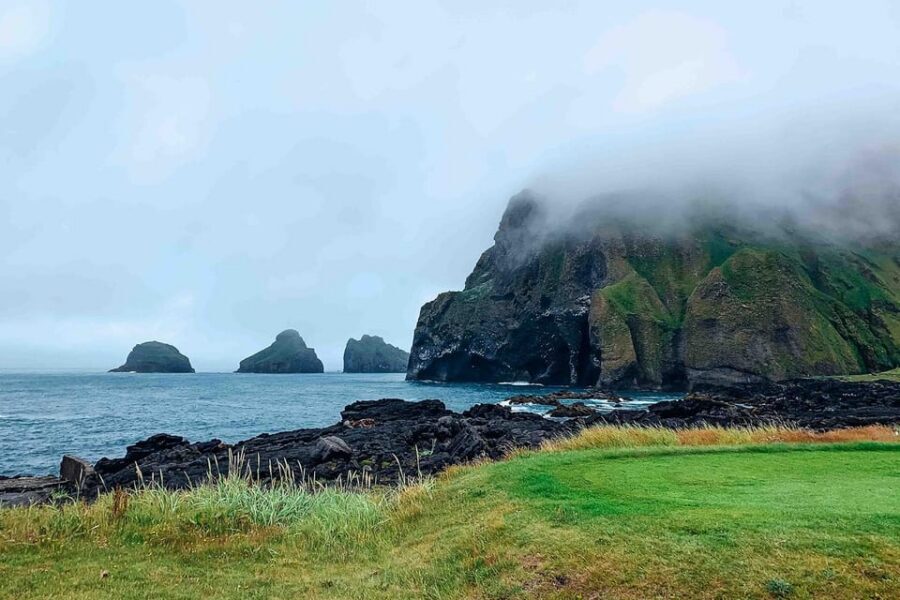 From Reykjavik: Puffin and Volcano Tour in Westman Islands - Value and logistics: $272 is a lot, but it includes the big pieces