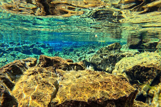 From Reykjavik- Silfra Snorkeling transfer included - Inside Silfra: blue light, rocky colors, and what the float feels like