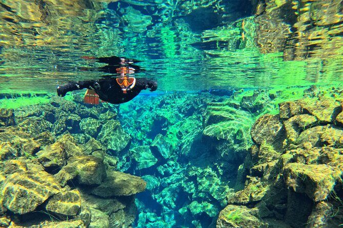 From Reykjavik- Silfra Snorkeling transfer included - Getting to Silfra: Reykjavik pickup rules you should follow