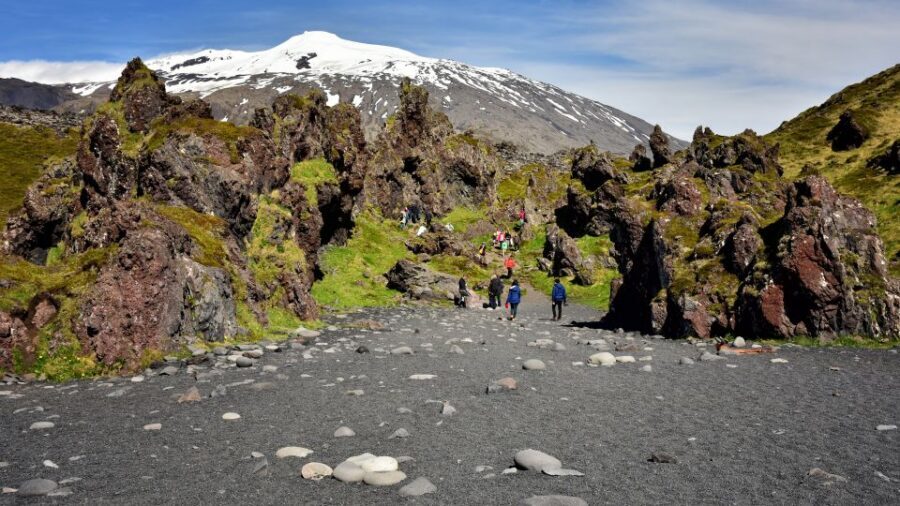 From Reykjavik: Snaefellsnes National Park - Small Group - Ytri Tunga: wildlife odds at a proper coastal spot