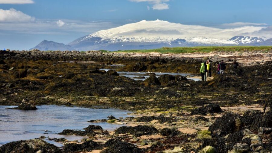 From Reykjavik: Snaefellsnes National Park - Small Group - Djúpalónssandur: beach time with serious atmosphere