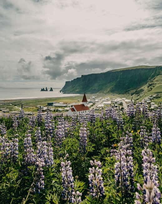 From Reykjavík: South Coast Highlights Day Tour - Key things you’ll notice on this South Coast highlights day