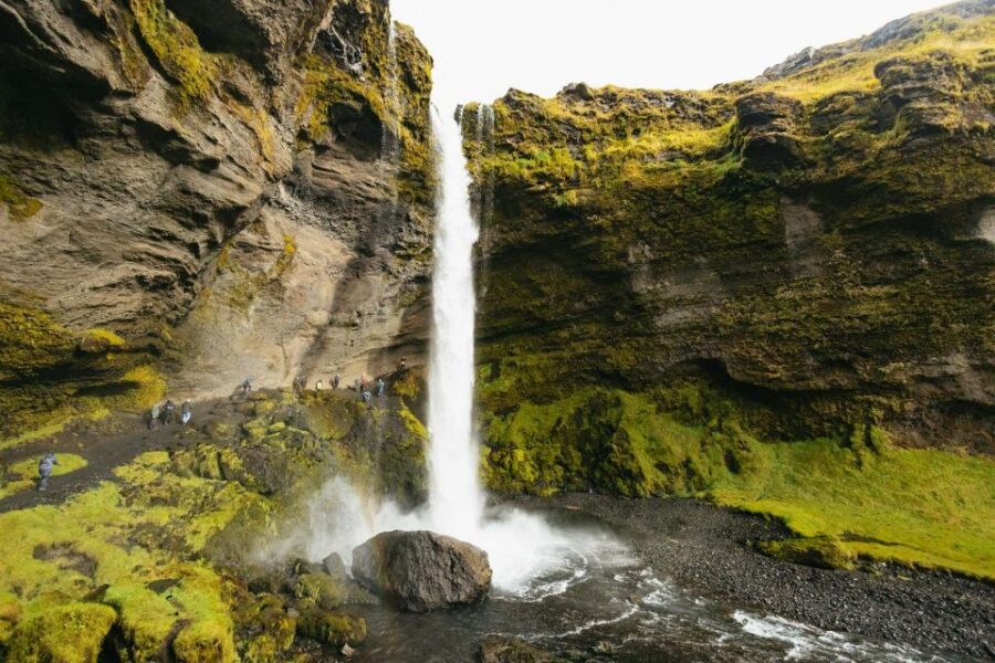 From Reykjavík: Waterfalls, Black Beach & Glacier Day Trip - Who this tour suits best (and who should choose differently)