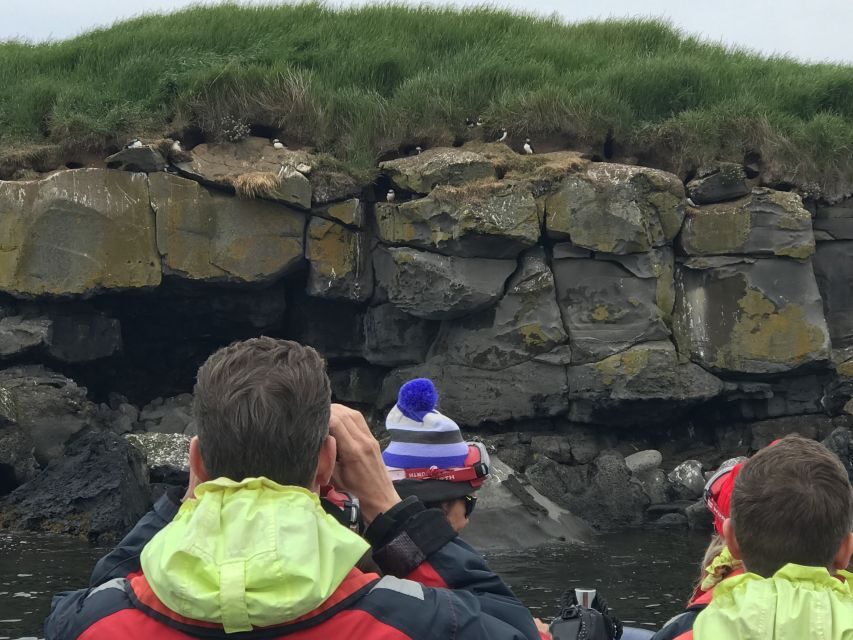 From Reykjavik: Whale Watching Tour by Speedboat - Price and value: what $192 buys in the real world