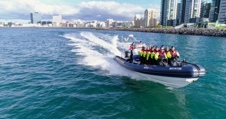 From Reykjavik: Whale Watching Tour by Speedboat - Why a RIB whale watch makes sense in Iceland