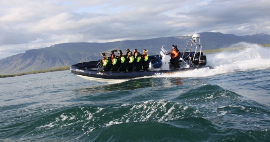 From Reykjavik: Whale Watching Tour by Speedboat - Faxaflói Bay spotting: how the hunt actually feels on the water
