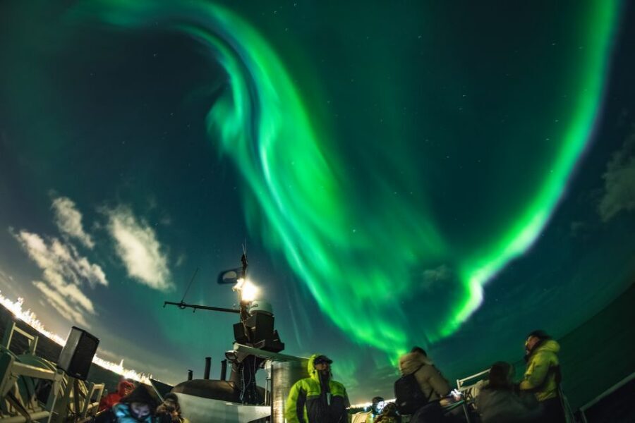From Reykjavik: Whales and Northern Lights Boat Tour - Time and flow: how this fits your Reykjavik schedule
