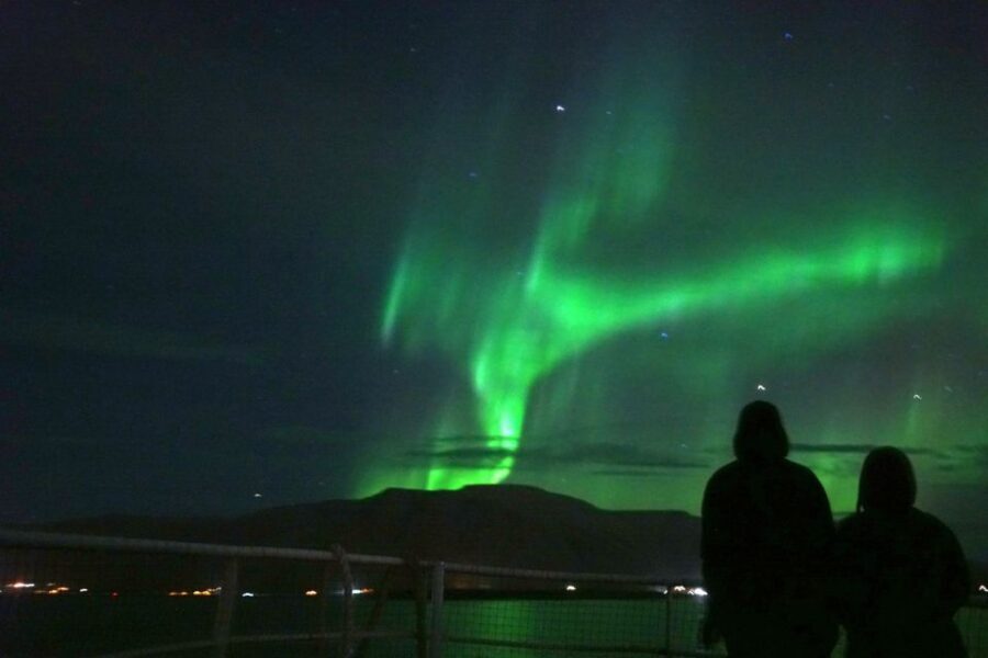 From Reykjavik: Whales and Northern Lights Boat Tour - FAQ