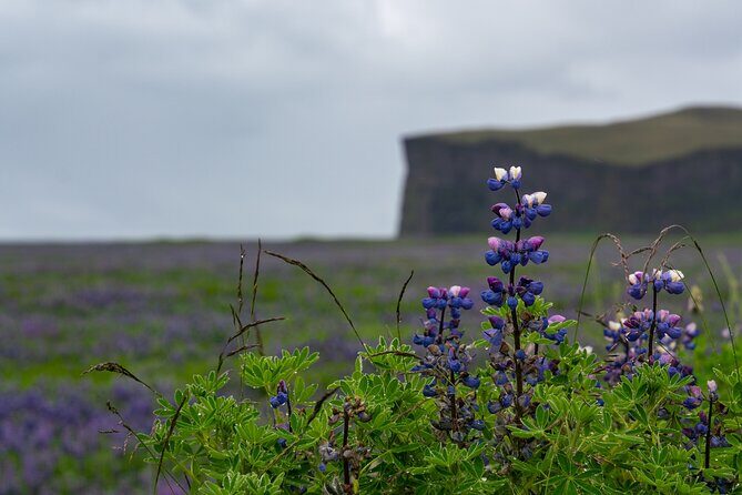 Full-Day Private Tour to Explore South Coast of Iceland - Key points to know before you go