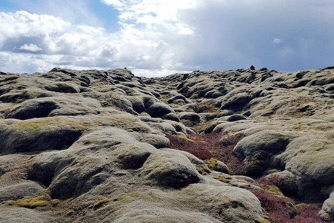 Glacier Lagoon & South Coast. Private Day Tour - Diamond Beach: Ice Like Diamonds on Black Sand