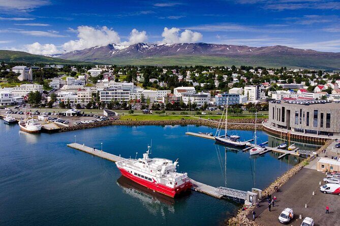 Goðafoss Waterfall & Forest Lagoon from Akureyri Port - Godafoss Waterfall and Forest Lagoon: how this day trip fits a port schedule