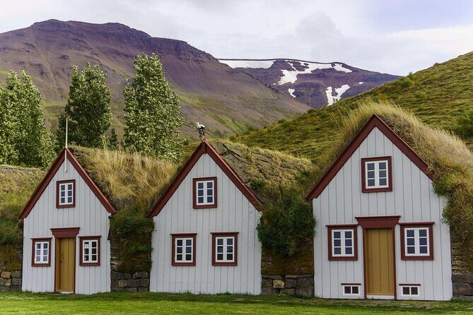 Godafoss Waterfall & Turf House Half-Day Tour from Akureyri Port - Key reasons this tour works so well