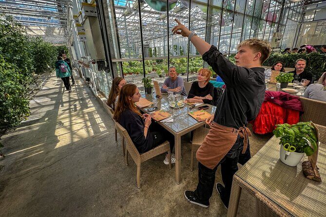 Golden Circle and Lunch at Fridheimar Tomato Farm - with photos - Reykjavik Logistics: How the Day Flows From Pickup to Drop-Off