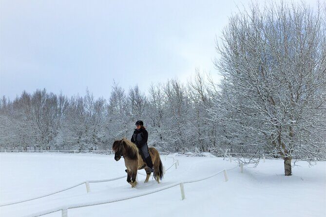 Golden Circle, Fridheimar Farm & Horses Small Group Tour from Reykjavik - Reykjavik Pickup to Golden Circle: What the Day Feels Like