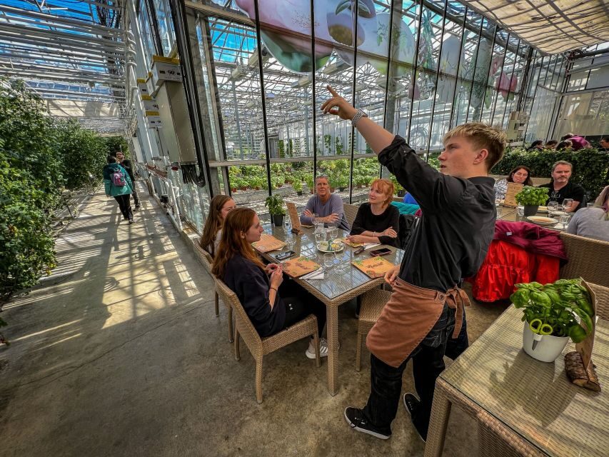 Golden Circle & Lunch at Fridheimar Tomato Farm- with photos - Friðheimar Tomato Farm late lunch: soup, ravioli, pizza, and unlimited bread