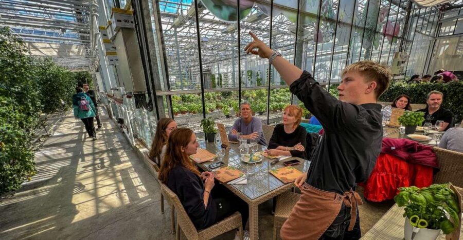 Golden Circle & Lunch at Fridheimar Tomato Farm- with photos - Price and value: is $180 per person “worth it”?