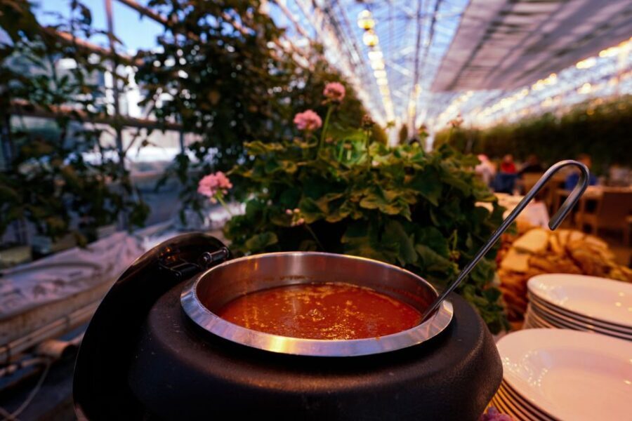 Golden Circle & Lunch at Fridheimar Tomato Farm- with photos - Þingvellir National Park: walking between tectonic plates
