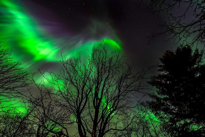 Golden Circle & Northern lights in Iceland - Value for $144.60: what you really get