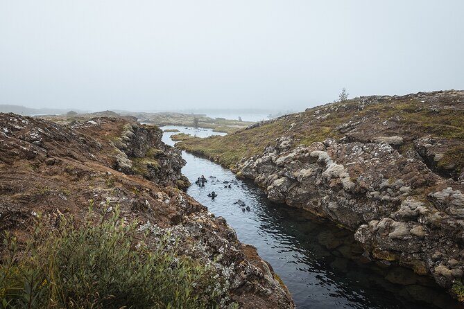 Golden Circle | Private Tour | PRO Photo Package - Fridheimar and the tomato-farm stop that changes the pace