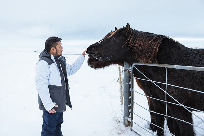 Golden Circle | Private Tour | PRO Photo Package - Timing and driving: what the 9 hours feels like