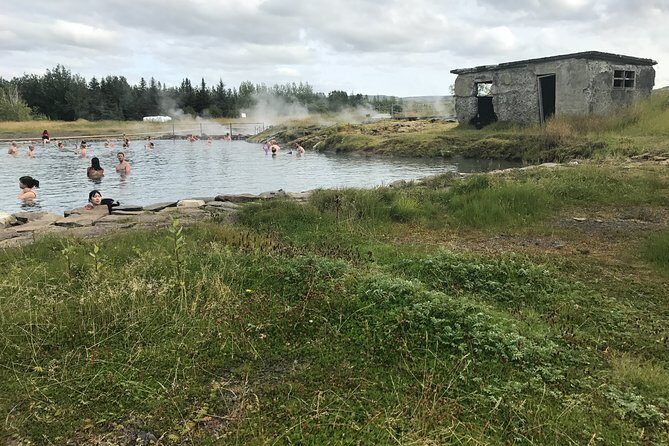 Golden Circle & Secret Lagoon & Friðheimar (lunch included) - PRIVATE TOUR - Stop 4: Friðheimar greenhouse lunch in the tomato fields