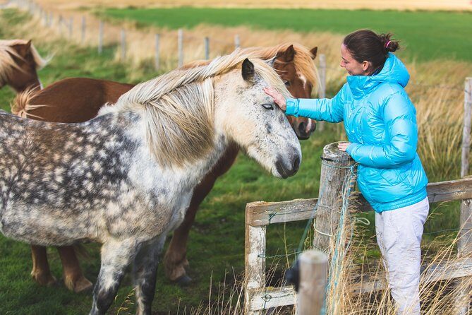 Golden Circle & Viking Horse Experience - From Bus to Barn: What the Icelandic Horse Ride Really Is Like