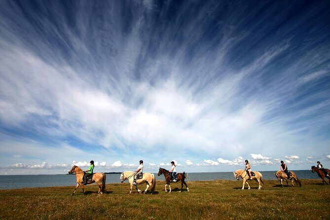 Golden Circle & Viking Horse Experience - Timing, Crowd Control, and the Role of Guides Like Bo and Roman