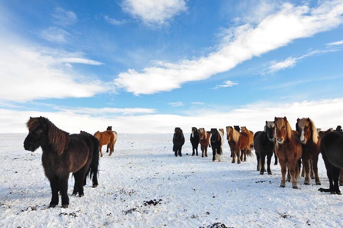 Golden Circle & Viking Horse Experience - What to Pack: Clothes, Headphones, and the Small Things That Matter