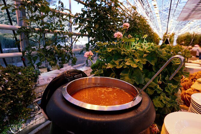 Golden Circle with Tomato Farm Lunch & Secret Lagoon Bathing - Group size, pacing, and the one real service worry