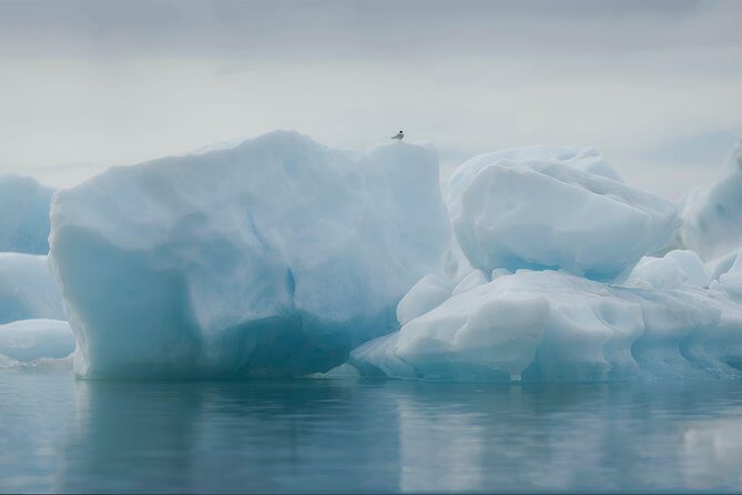 Guided Glacier Lagoon and Diamond Beach Day Trip from Reykjavik - Waterfalls as photo stops: Skógafoss and Seljalandsfoss