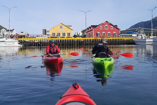 Guided kayak tour in Siglufjörður / Siglufjordur. - Key highlights to know before you go