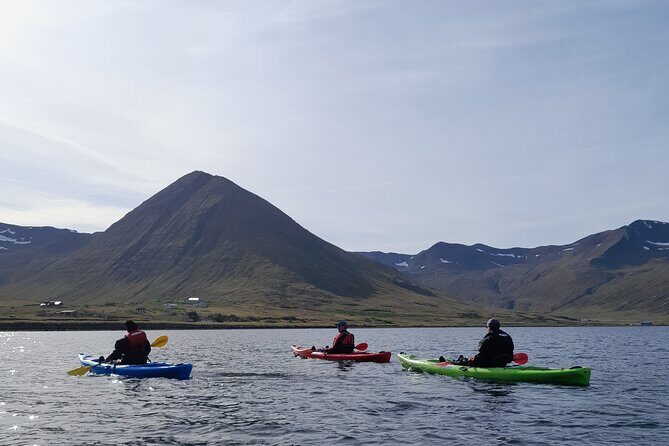 Guided kayak tour in Siglufjörður / Siglufjordur. - Getting Ready at Sigló Sea HQ in Siglufjörður