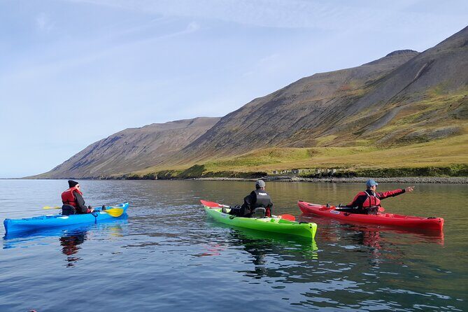 Guided kayak tour in Siglufjörður / Siglufjordur. - What the Guide Adds: Local Knowledge You Can Use