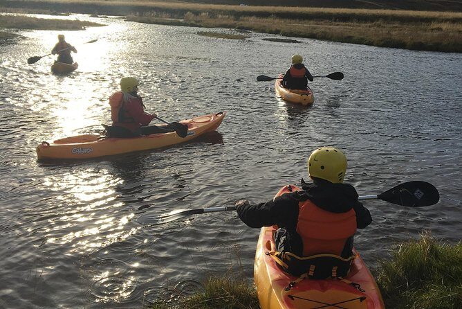 Guided Sit on Top Kayak Tour near Akureyri - Skagafjörður fjord area vibes: horses and wildlife you might actually notice