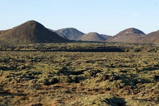 Helicopter tour from Reykjavik: Hengill Area with at site landing - Quick hits