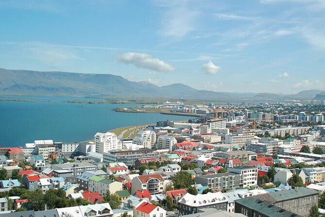Helicopter tour from Reykjavik: Hengill Area with at site landing - Hengill geothermal area landing and time on the ground