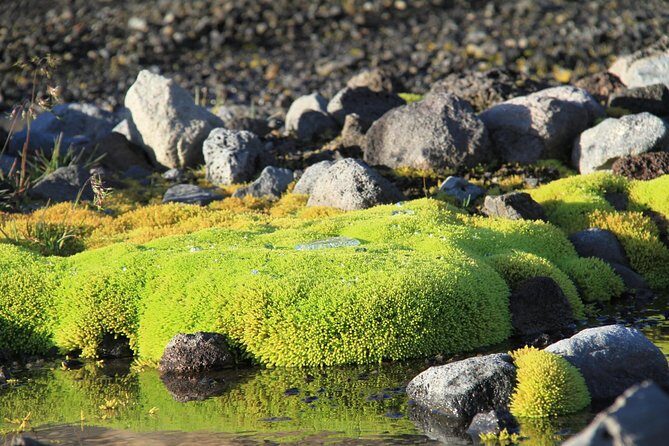 Highlights of Iceland / private guided super Jeep tour - The Return Via Hvalfjörður Fjord: Last Views Before Reykjavik