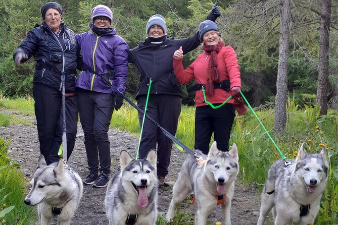 Hiking with Husky in Akureyri - Why Huskies Outside Akureyri Feels Like Visiting Friends